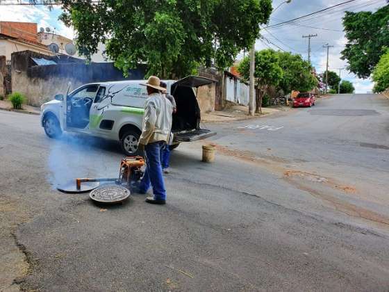 Antônio Zanaga recebe serviço de desinsetização