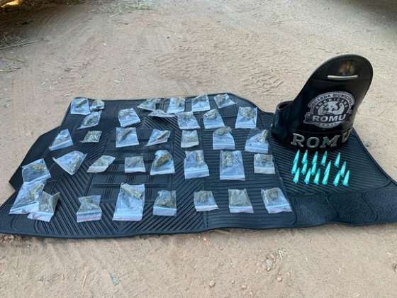Cão da Gama ‘mela’ venda de maconha e pó
