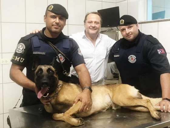 Cão da Gama se fere em ação pré-carnaval