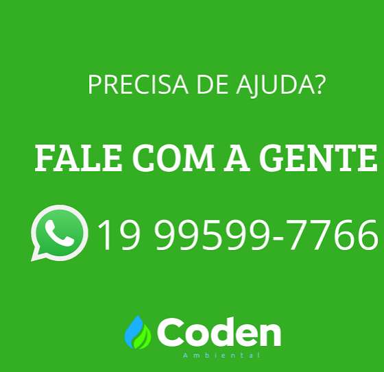 Coden cria canal no WhatsApp para atender consumidores
