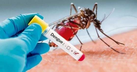 Dengue: Retorno do sorotipo 2 ameaça 11 estados