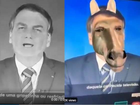 Diego e FHC criticam Bolsonaro por fala desastrosa