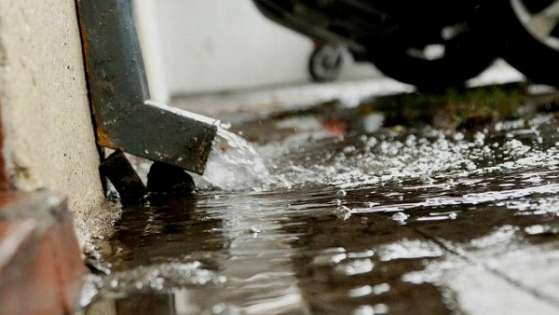 Enchentes e chuva intensa aumentam risco de leptospirose