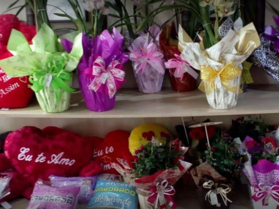 Floriculturas reabrem. Em Campinas