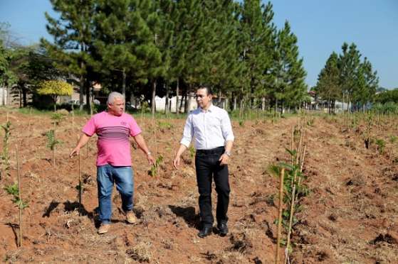 NO: Pref. planta 1,8 mil novas árvores no ‘Pescoço da ??gua’