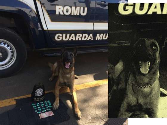 Operador de Máquinas fazia bico de traficante