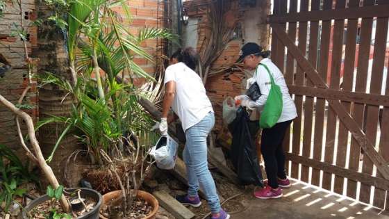Período chuvoso e água parada: atenção para evitar a dengue
