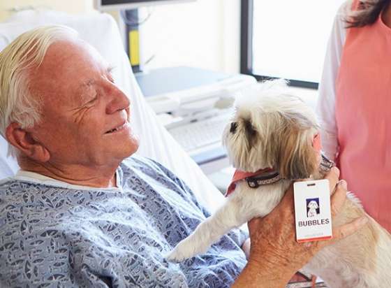 Residencial para idosos usa Pet Terapia