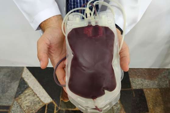 SB: Campanha de Doação de Sangue acontece dia 5 de maio