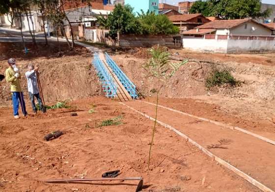 SM: Pref. planta 400 mudas de árvores
