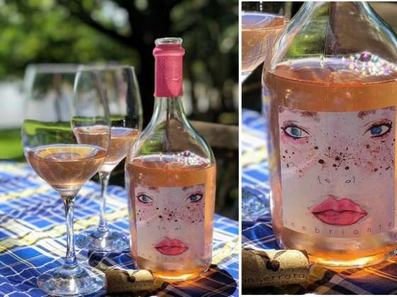 Vinho orgânico e com personalidade chega ao Brasil