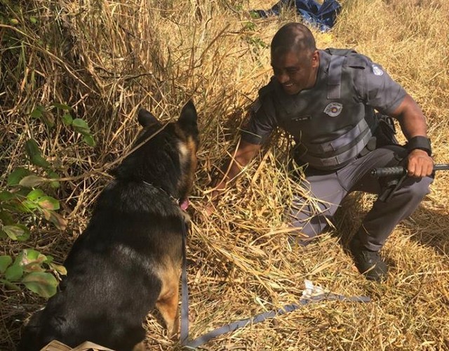 Gama e PM descobrem drogas no América 2
