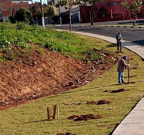 Área próxima à ponte do Salerno recebe plantio de 130 mudas de árvores